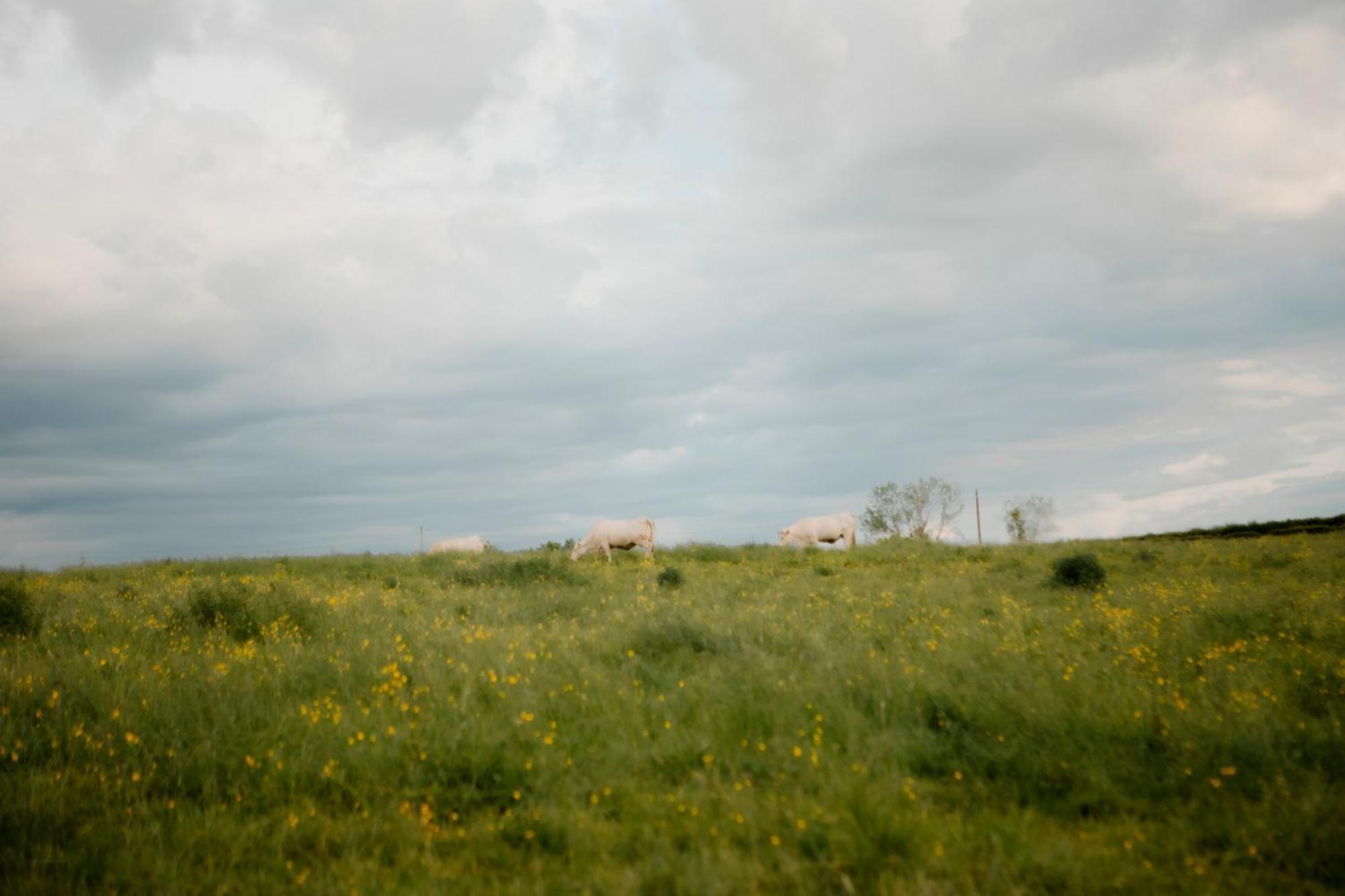 La Suite Prairie Tomette Singuliere Chateau  Exterior foto